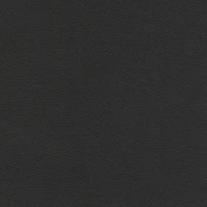 Big Sur Canvas - Solid Black Yardage